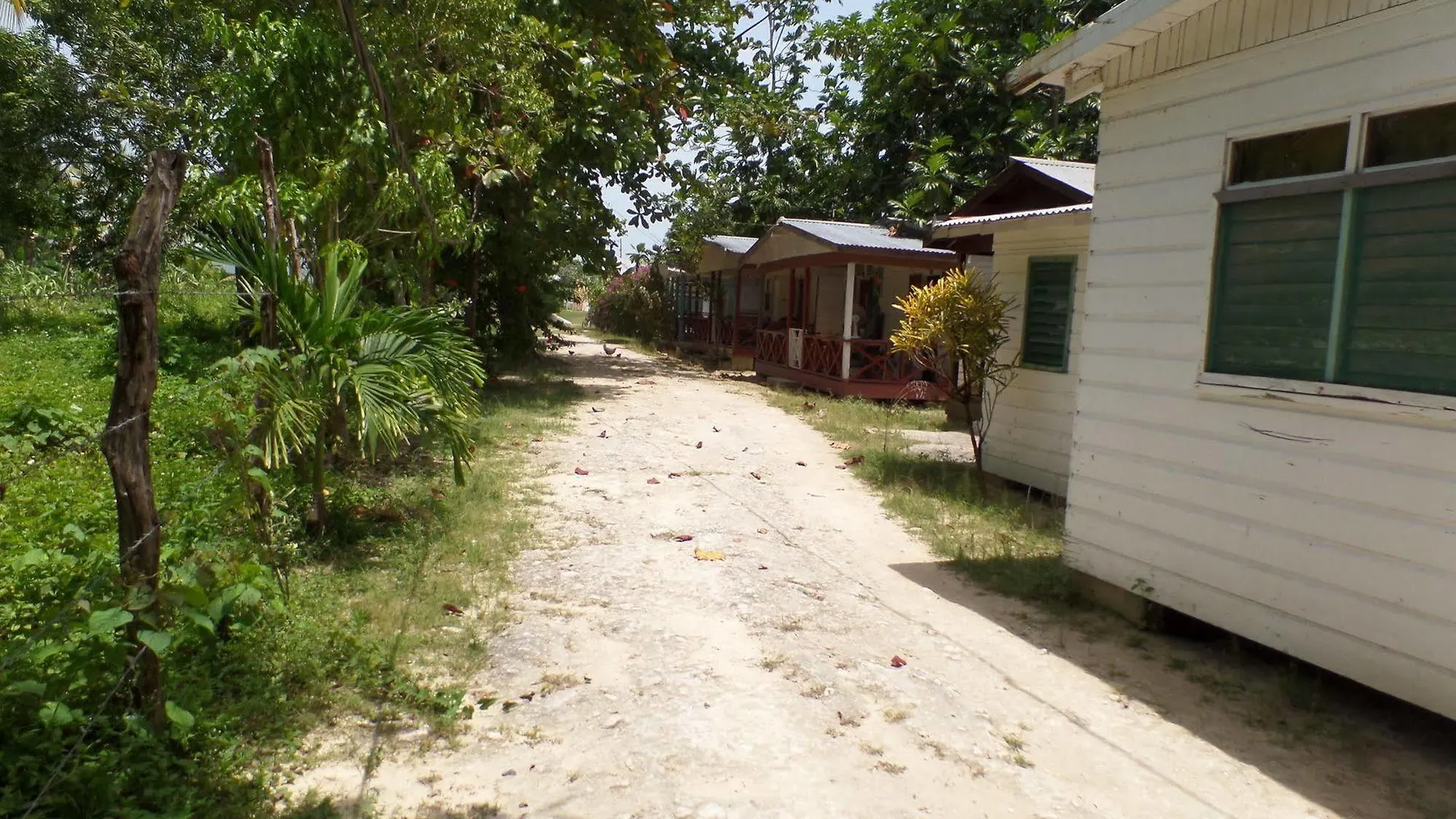 Hotel Beach Road Cottages At Jah Bs Negril